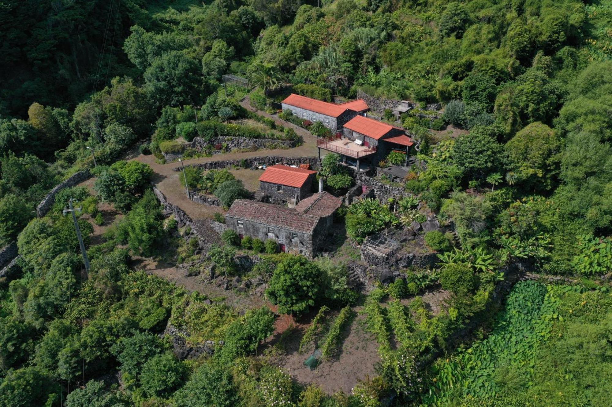 Vistalinda Farmhouse Faja dos Vimes Eksteriør bilde